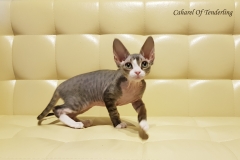 20180513_094002 20180513_094002