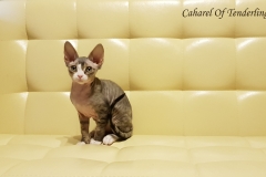 20180513_094448 20180513_094448