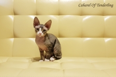 20180513_094451 20180513_094451