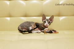 20180513_094715 20180513_094715