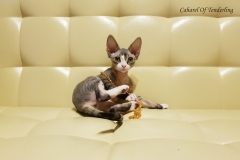 20180513_094802 20180513_094802