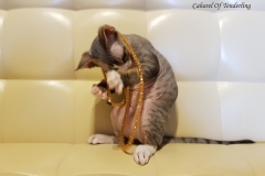 20180513_095134 20180513_095134