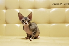 20180513_091104 20180513_091104