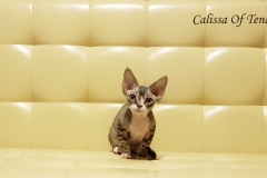 20180513_091857 20180513_091857