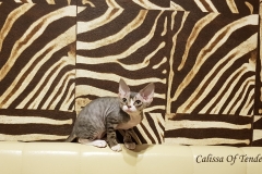 20180513_092036 20180513_092036