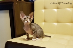 20180513_092349 20180513_092349