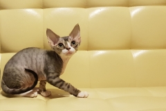 20180513_092546 20180513_092546