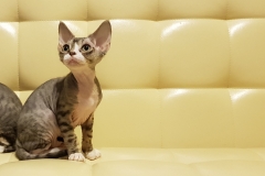 20180513_092551 20180513_092551