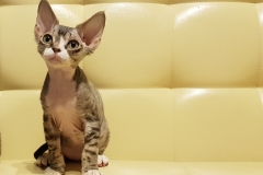 20180513_092603 20180513_092603