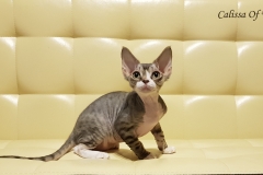 20180513_092740 20180513_092740