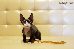 20180513_095608 20180513_095608