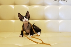 20180513_095636 20180513_095636