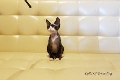 20180513_100056 20180513_100056