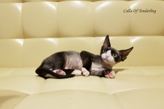 20180513_100843 20180513_100843