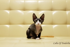 20180513_101058 20180513_101058