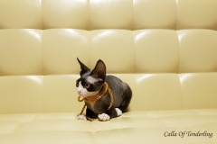 20180513_101132 20180513_101132