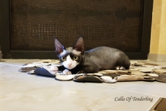 20180513_101318 20180513_101318