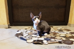 20180513_101340 20180513_101340