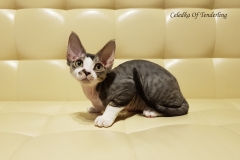 20180513_085234 20180513_085234