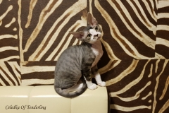 20180513_092849 20180513_092849