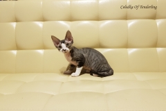 20180513_092951 20180513_092951