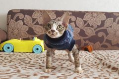 20200527_142822-scaled 20200527_142822-scaled