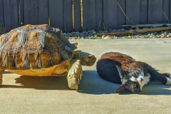 20200726_230735 20200726_230735