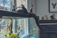 20200726_230905 20200726_230905