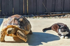 20200726_231318 20200726_231318