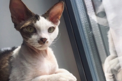 20200727_182342 20200727_182342