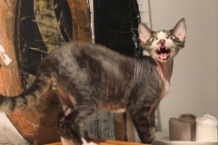 20200727_182400 20200727_182400