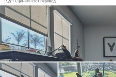 20200727_191739 20200727_191739