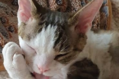 20200728_080903 20200728_080903