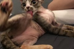 20200728_224618-scaled 20200728_224618-scaled