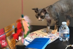 20200728_224645 20200728_224645