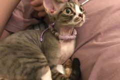 20200728_224656-scaled 20200728_224656-scaled