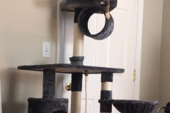 20200728_224745 20200728_224745