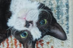 received_718573022038695-scaled received_718573022038695-scaled