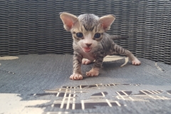 20160731_093959 20160731_093959