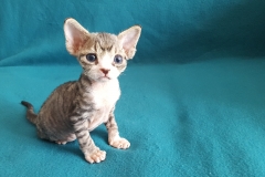 20160804_120009 20160804_120009