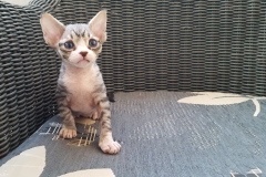 20160808_202821 20160808_202821