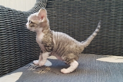 20160808_202009 20160808_202009