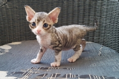 20160808_202427 20160808_202427