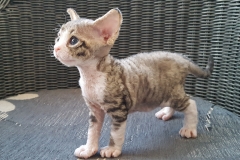 20160808_202434 20160808_202434