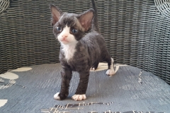 20160808_201125 20160808_201125