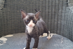 20160808_201126 20160808_201126