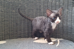 20160808_201442 20160808_201442