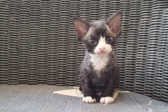 20160808_201606 20160808_201606