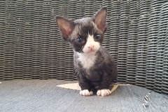 20160808_201623 20160808_201623