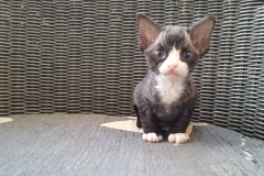 20160808_201637 20160808_201637